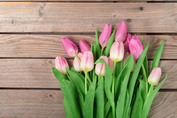 Tulips on the wooden background