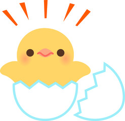 卵から孵ったヒヨコ © logistock