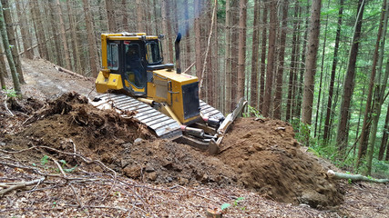 The bulldozer makes way in the forest