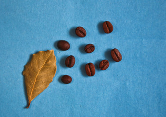 Bay leaf and coffee beans on a blue background
