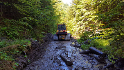 The bulldozer makes way in the forest