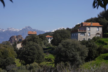 Fototapeta na wymiar Piana - Les Calanches Korsika