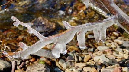 Von Eis eingefrorene Äste, Eiszapfen
