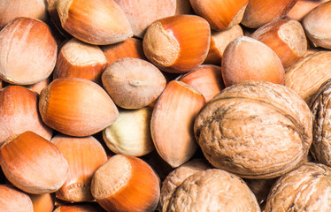 Forest nuts and walnut nuts on background