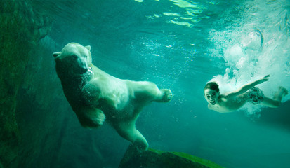 Meeting with the Polar bear - obrazy, fototapety, plakaty