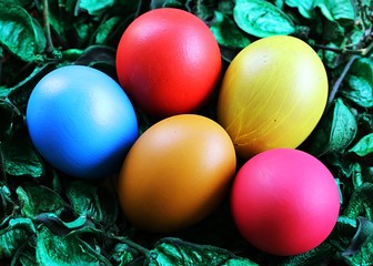 Happy Easter Day! Colors Easter eggs with green flower decoration background top view