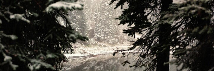 River with snow covered trees on sides