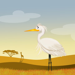 illustration of white heron