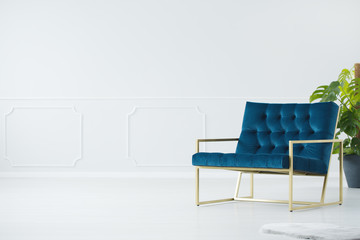 Blue chair with golden frame