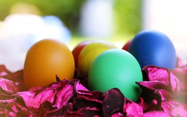 Happy Easter Day! Colors easter eggs with pink flower decoration blur green nature garden background
