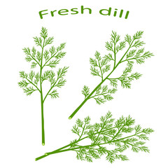 Fresh dill. Green vegetables.  Cartoon green dill close-up. Vector illustration.