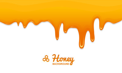 Honey or natural farm product. beekeeping or garden. Health, organic sweets, medicine illustration, agriculture. food in honeycomb cooked by bees. background for text. Card or poster for web site.