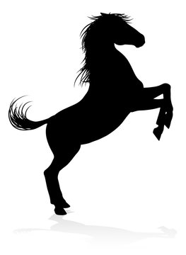 Horse Animal Silhouette