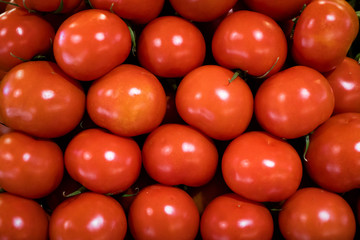 TOMATOES
