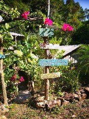 Tropical island, remote natural green paradise destination Thailand 