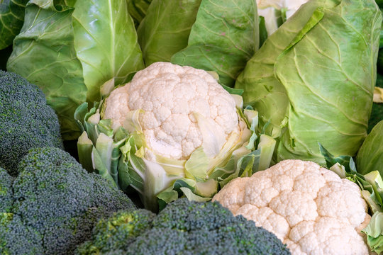 various types of cabbage / fresh cauliflower, broccoli and cabbage 