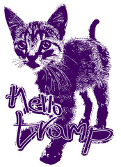 Tramp kitten. Vector illustration. For graphic print, t shirt printing.