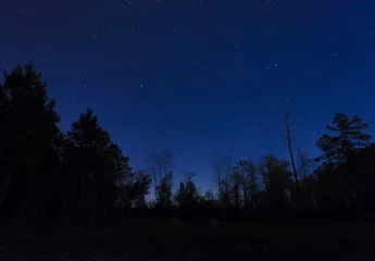 Papier Peint photo Lavable Nuit Sky with stars in North Carolina