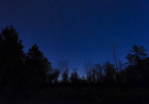 Sky with stars in North Carolina