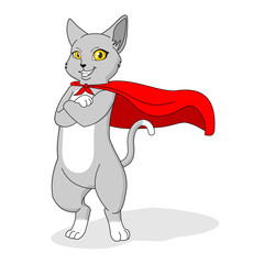 a cat wearing a red cape