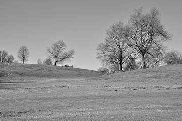 Alberi con ostacoli su prato invernale di centro equestre con alberi e boschi sullo sfondo. Pratoni del Vivaro, Castelli Romani, Lazio, Italia. Bianco e nero