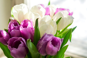 bouquet of purple and white tulips on window sill