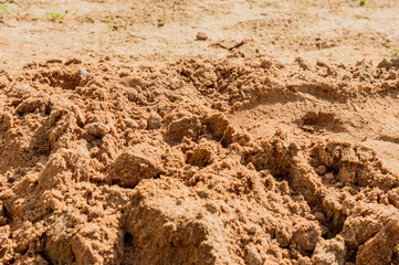 wet sand background texture