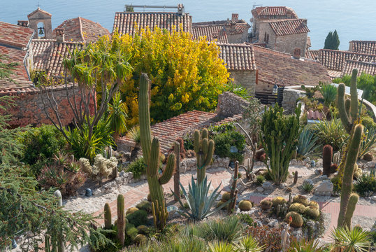 The exotic garden of the village of Eze, France