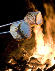 Marshmallows cooking over a campfire