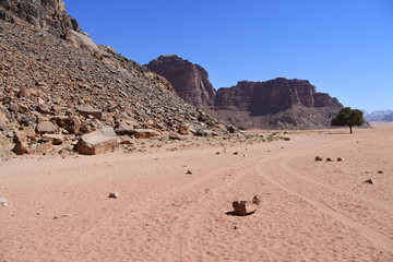 Fototapeta na wymiar Fahrspuren im Sand im Wadi Rum in Jordanien 