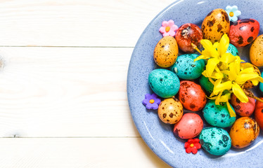 Easter colored-red, blue, yellow quail eggs on blue plate on white wooden background.Top view.Rustic style.Flat lay.Happy easter holiday