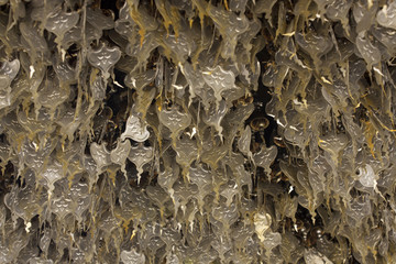 pray metal sheet with Buddhism characters hanging inside Rong Khun temple, Thailand