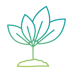 leafs plant ecology icon vector illustration design