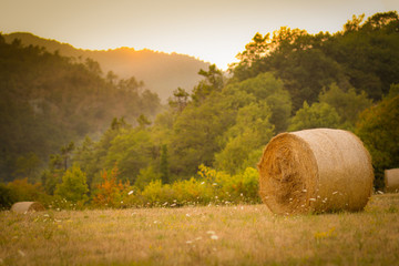 Pack of hay stack on meadow near forest at sunset