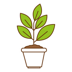 house plant in pot ecology icon vector illustration design