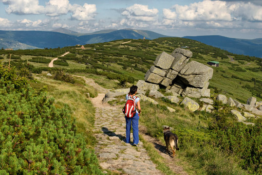 Krkonose Mountain, Krkonose above Spindleruv Mlyn, Tourist with a dog in the mountains