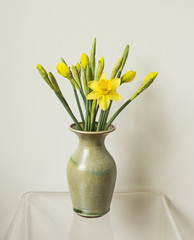 Daffodils in a green vase against a white wall