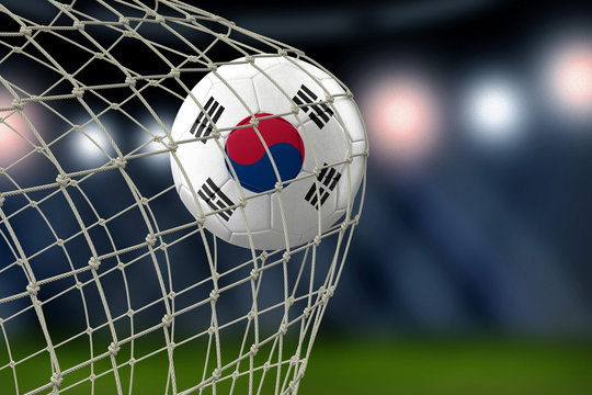 South Korean soccerball in net