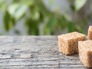 Brown cane sugar on wooden background. Green tree with leaves