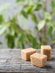 Brown cane sugar on wooden background. Green tree with leaves