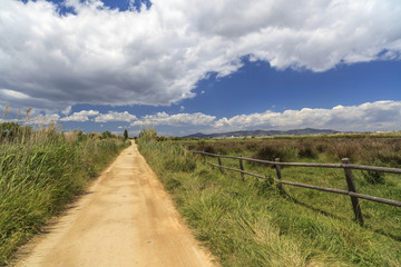 Fototapeta premium Landscape, Natural Areas of the Llobregat Delta,path, El Prat de Llobregat, province Barcelona,Catalonia, Spain.
