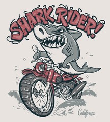 Obraz premium Shark Rider on motorcycle vector T-Shirt design