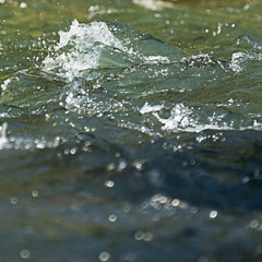 Naklejka premium Fast mountain stream splashing and flowing over rocks on a bright sunny day