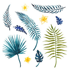 Fototapeta na wymiar Set of palm leaves. Hand painted watercolor illustration
