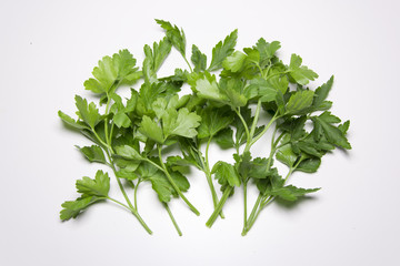 Parsley fresh green herb