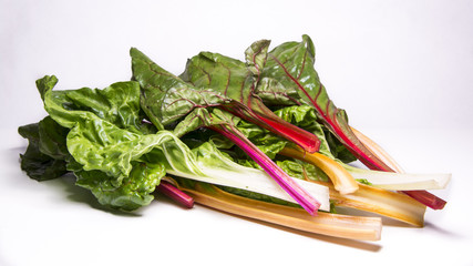 Rainbow swiss chard, mangold beetroot leaves