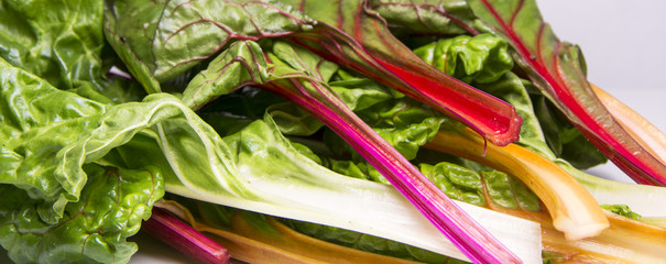 Rainbow swiss chard, mangold beetroot leaves