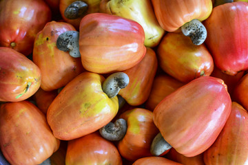 Cashew nuts fruits on the market, fresh