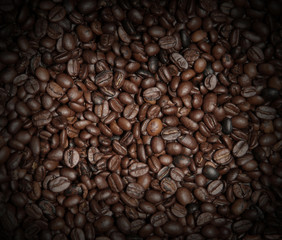 Fototapeta premium Coffee beans used as background