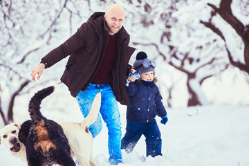 The beautiful father ,son and dogs walking along park